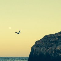 romain bolzinger (@rbolzinger) 's Twitter Profile