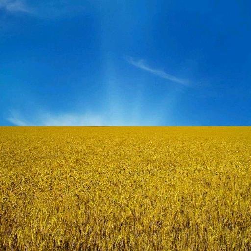 oleksiy_sh26's profile picture. 