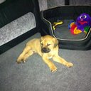 morgan coates - @HotmailDaren - Twitter