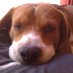 julio.s (@julio1535) Twitter profile photo