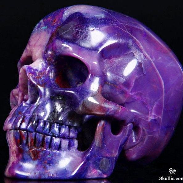 Your Source For All The Weird Products You Never Knew Existed Online