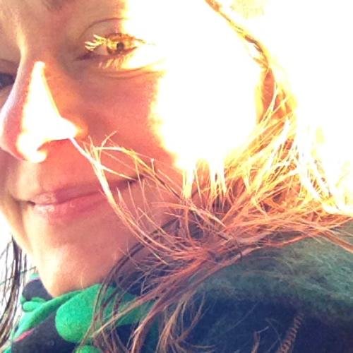 nerdybird's profile picture. 