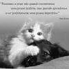 Me gustan los animales tengo tres.