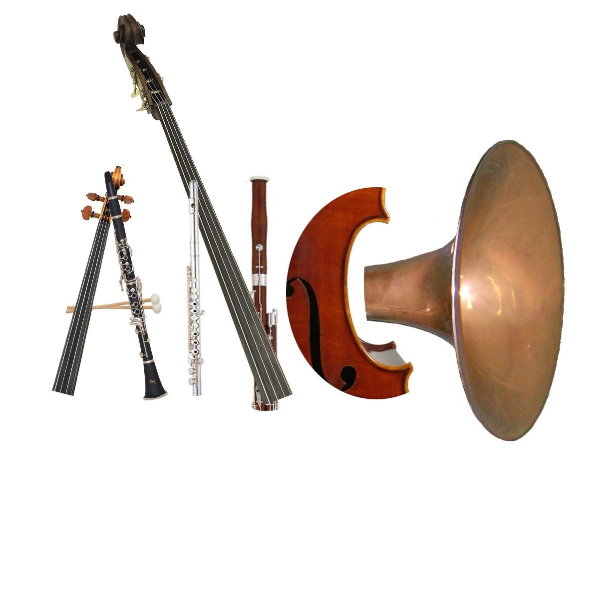 arsnovadc's profile picture. We are DC's unconducted orchestra.