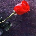 golab (@00966557510898) Twitter