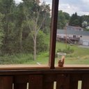 Steven Logsdon - @logsdonsteven1 - Twitter