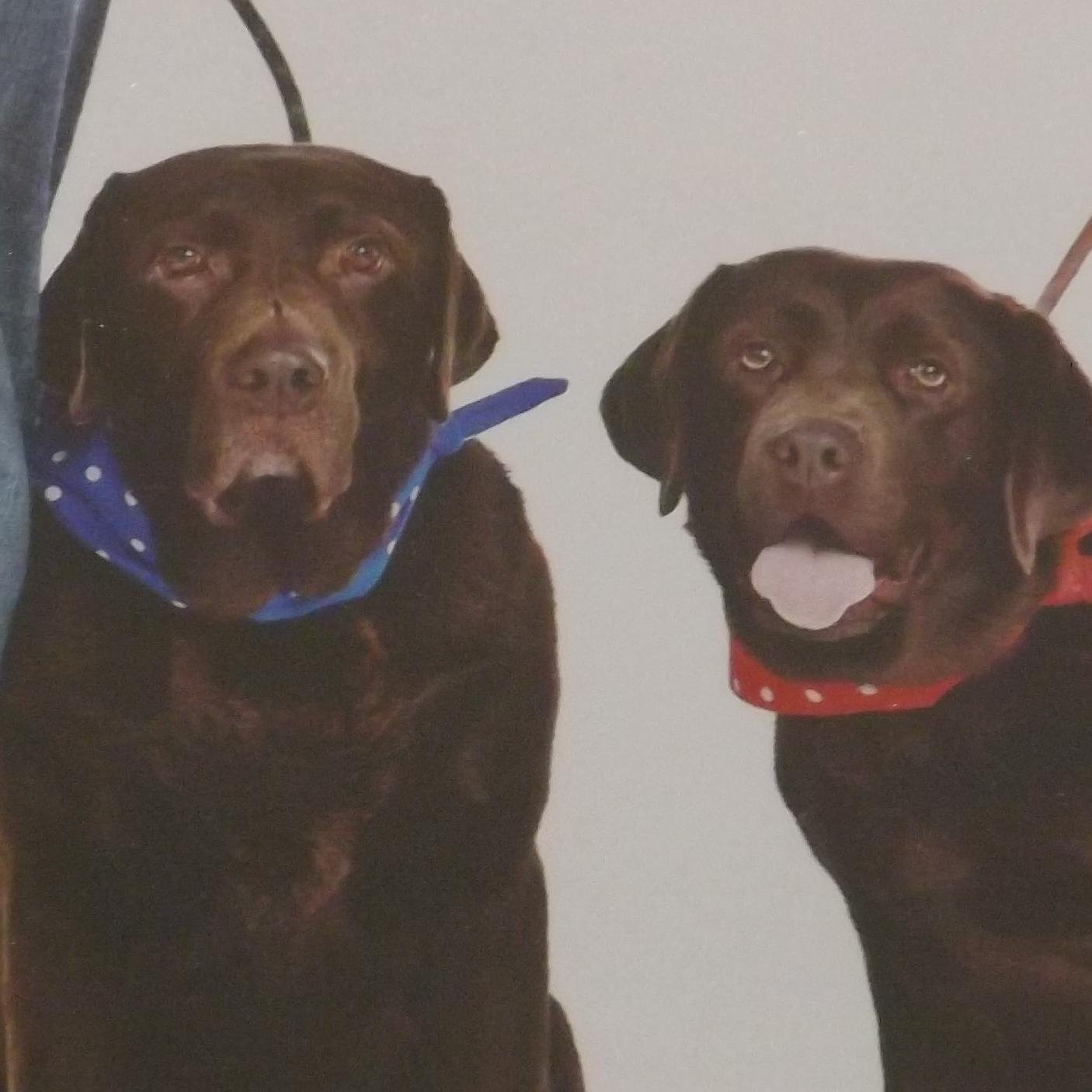 Luconnet's profile picture. 