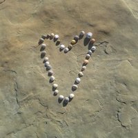 Fiona Campbell (@tootletoots) 's Twitter Profile