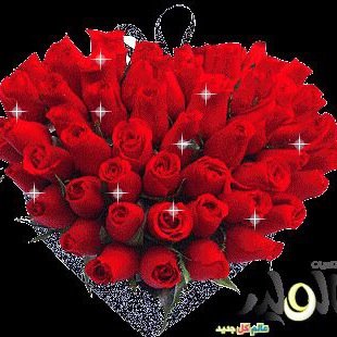 استغفر الله العظيم