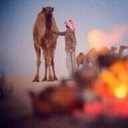 ((ماجد أبن محمد)) (@1199_majed) Twitter