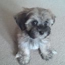 Adrian Dunne - @Adrian5401Dunne - Twitter