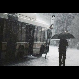 تكفون FowLow