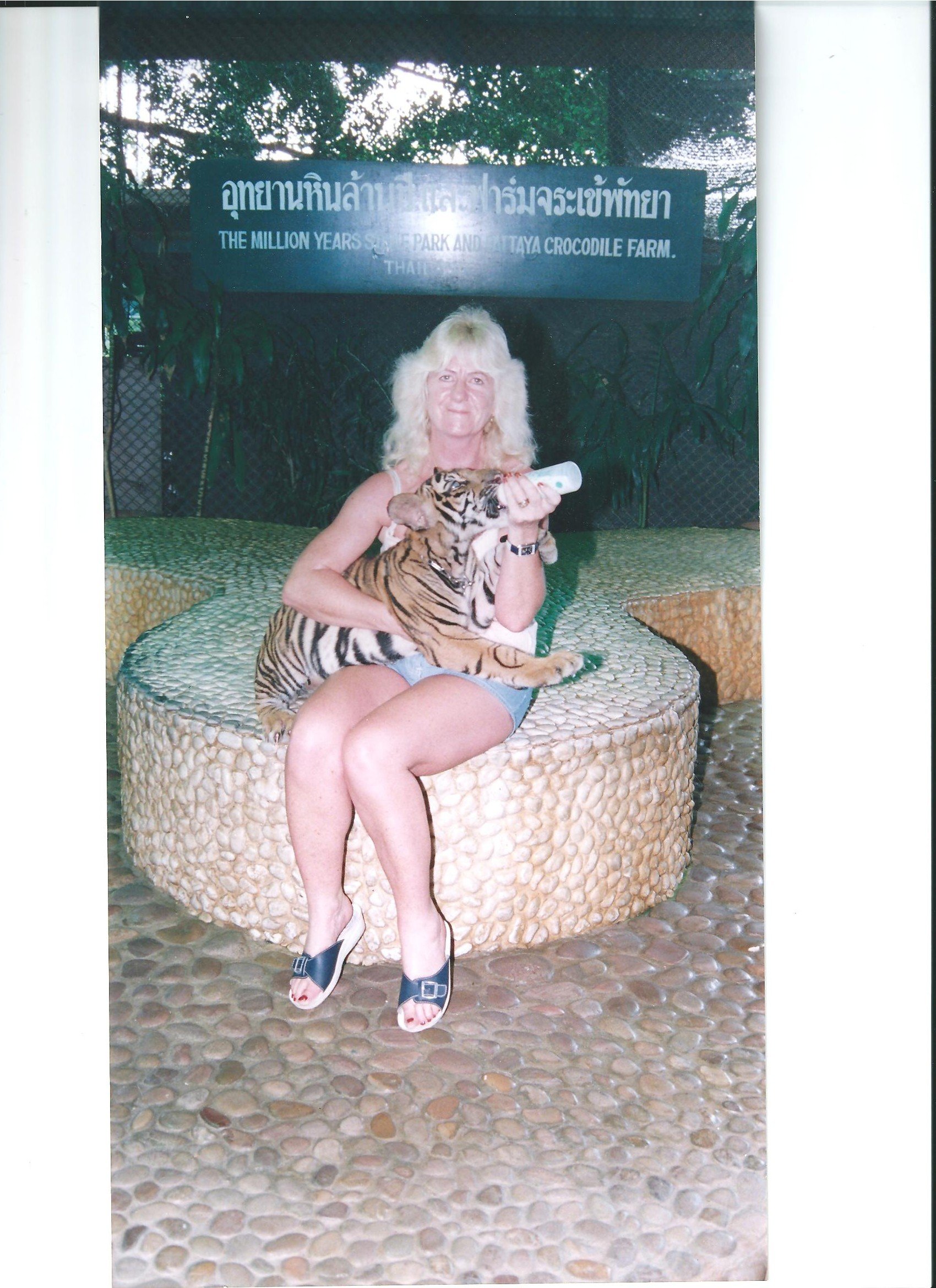 LyndaMaytuim's profile picture. 