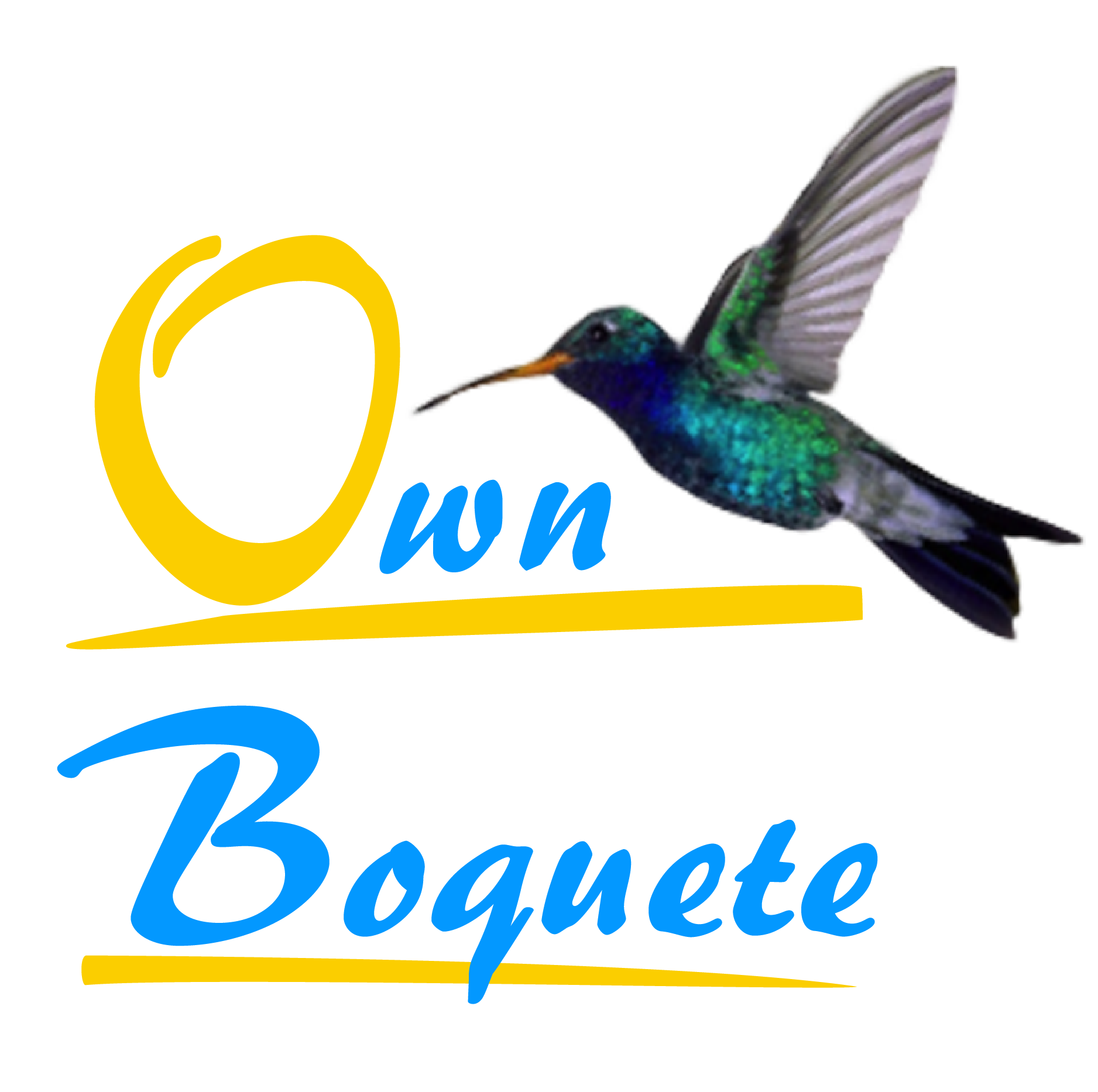 Boquete Real Estate Agency. Find over 90 properties on our website listed for sale or rent. Contact us: Panama: 720-2506 | 6094-7799. US: 508-470-8609