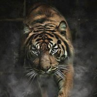 Torsten Martmer (@torstenmartmer) 's Twitter Profile
