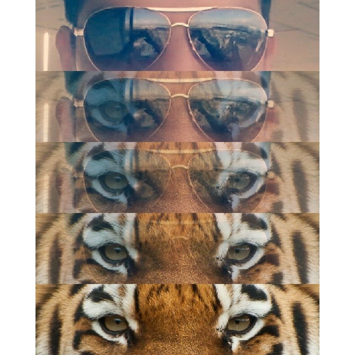 cosme_isai's profile picture. 