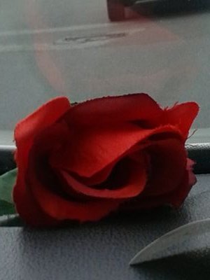 MARIASIRENA's profile picture. #encierro061Malaga
#EPES
#Malaga
#061
#gestorsanitario