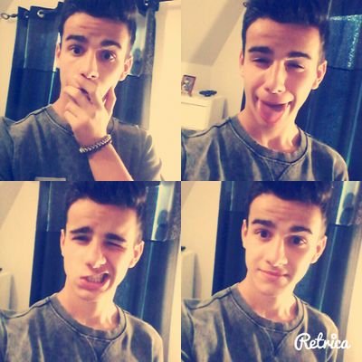 papigogo's profile picture. 