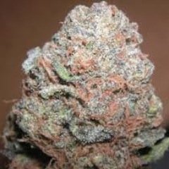 mcneil1_deshon's profile picture. 