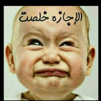 sooso20241's profile picture. 