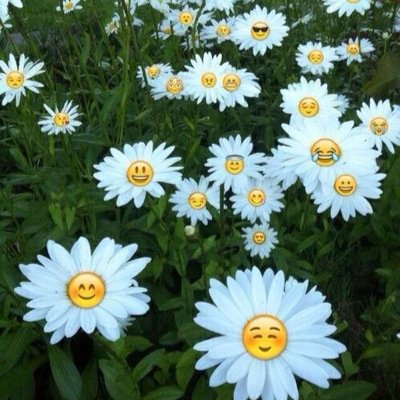 fr33f0llOm's profile picture. I just gave you a free follow!:) You should do me a favor and follow or retweet @carcarrrcarly 's tweets for me?!? :D thank you so much! Dm me when youre done!