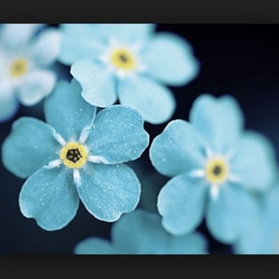 I'm a blogger :) actuallyrhi official account.