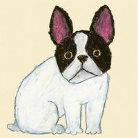 米津祐介 (@yusukeyonezu) 's Twitter Profile