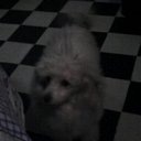 luz bella zarate gue - @l95448403 - Twitter