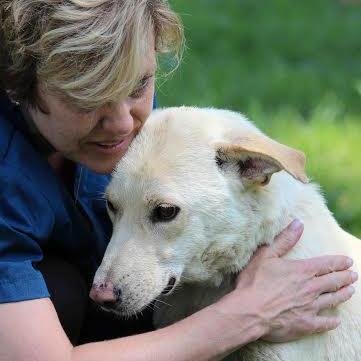 Director Rocky Mountain Puppy Rescue