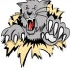 Gooooo Wildcats