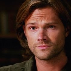 .omega.fiercely loyal. [AU Omega!Verse]