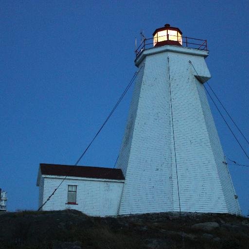 twetzel's profile picture. 