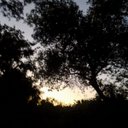 Mark Estes - @28baee0d72b745b - Twitter