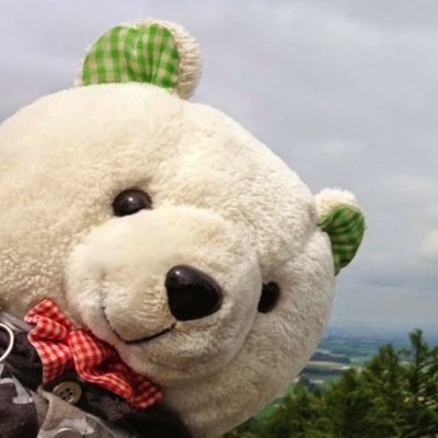 しろくまが大好きです。 すみっコぐらし。痩せたいと思いつつパンを食う。