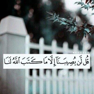‏‏‏‏احببت ان اسعدها فجعلت هذا الحساب صدقه جاريه لها..♡♡ ربي اوصيك بها خيرا وانت خير من اوصى