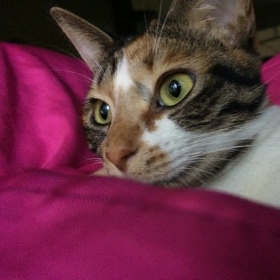 EasymacEhh's profile picture. Ayeeeee