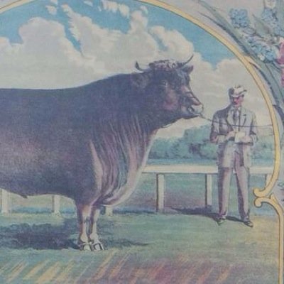 Acton Ag Society Profile