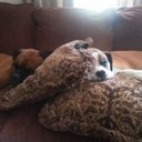 Aurora Kent - @aurorakent930 - Twitter