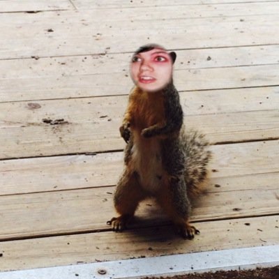 Fre follow from @frnkierocantdie

Last squirrel one i swear