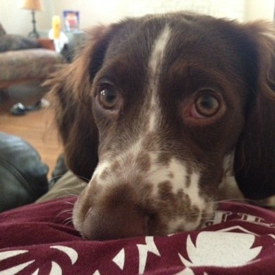 UnkleMikes's profile picture. Making my way in the world today.....