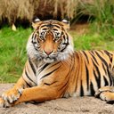 Eusebio Espinosa Y H - @eusebio_y - Twitter