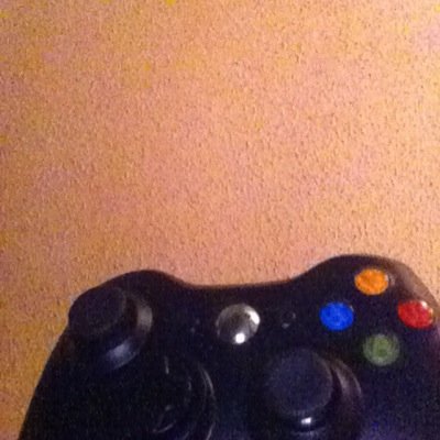 DMicaletti's profile picture. 