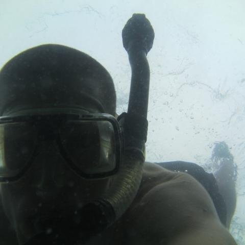 questionwise's profile picture. I'm interested in the asking of good questions, telling of captivating stories and playing of awesome games.