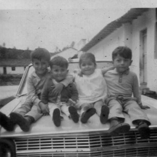 zemogh's profile picture. Ingeniero de Empresas, amante de las motocicletas, autos clásicos, perros, naturaleza, bricolaje, artesanías.