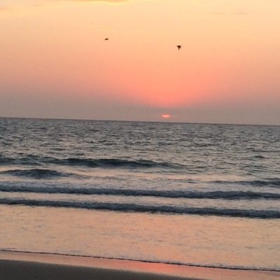 cristian82j's profile picture. Ing. Automotriz apasionado por la tecnologia, queriendo dar un nuevo enfoque a la mecánica automotriz a travez de Qüality Centro Automotriz