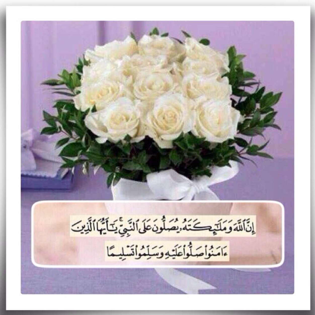 //لمن يريدرتويت يرسل منشن// تابعني =اتابعك/تحذف =احذفك /أعتذرعن الرتويت لمن صورته غيرمحافظه/ الخاص لطلب الرتويت/ لتبادل الرتويت سورتويت للمفضله٥/٥وارسل تم وابشر