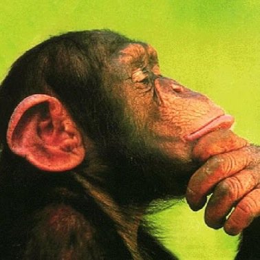 skepticalapeman's profile picture. Atheist, Humanist, Skeptic, Ape...