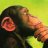 Skeptical Ape