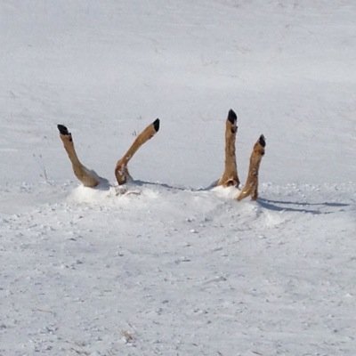 rotagjc's profile picture. 