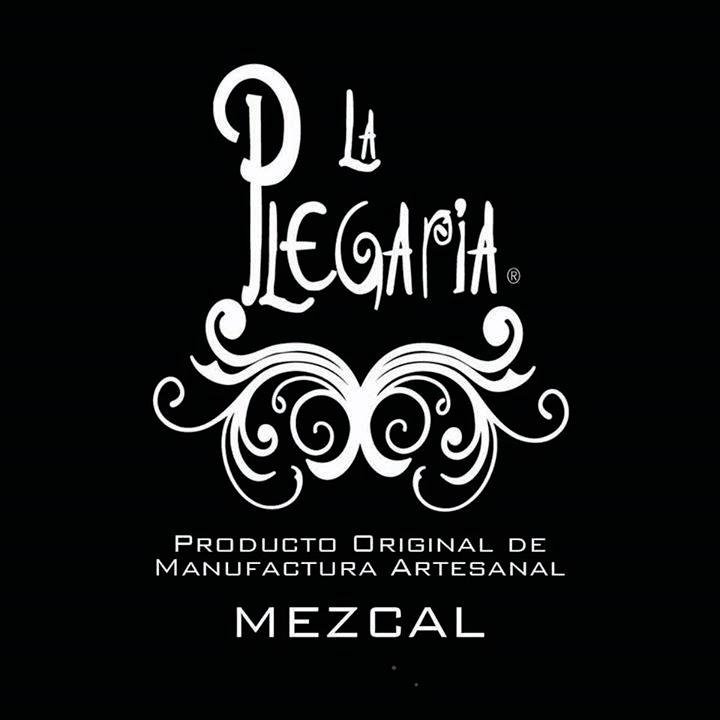 Mezcal La Plegaria producto certificado de excelencia en su elaboración, dos veces destilado y cuenta con denominación de origen.